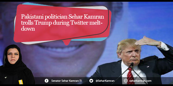 Pakistani politician Sehar Kamran trolls Trump during Twitter meltdown
