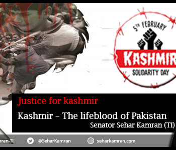 Justice for Kashmir- Kashmir The Lifeblood of Pakistan!